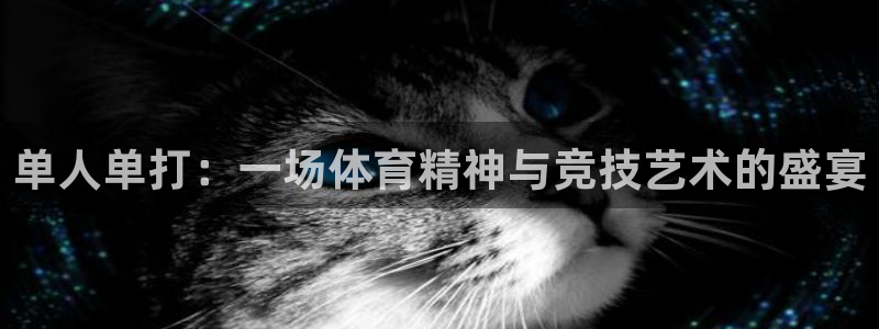 七星体育属于什么档次：单人单打：一场体育精神与竞技艺术的盛宴