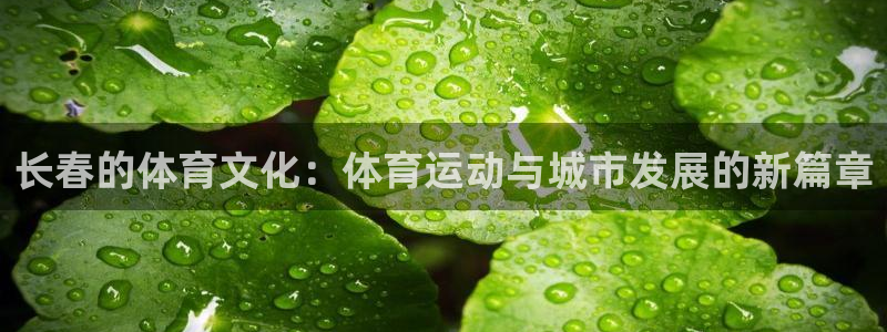 七星体育彩票结果：长春的体育文化：体育运动与城市发展的新篇章