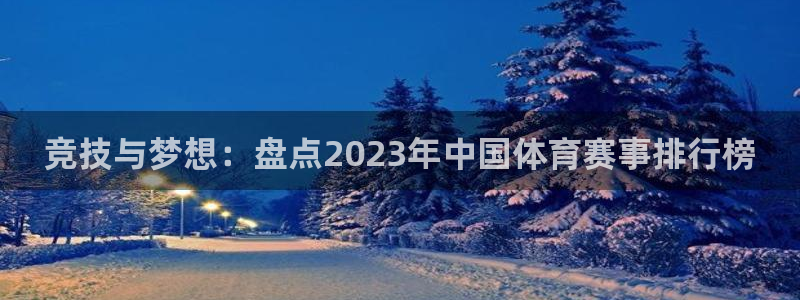 关键词：竞技与梦想：盘点2023年中国体育赛事排行榜