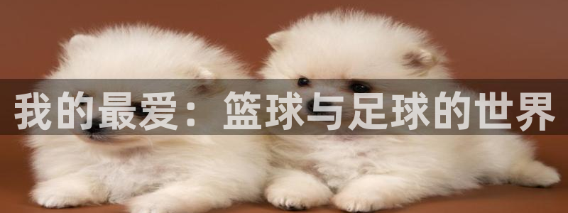 七星体育男主持：我的最爱：篮球与足球的世界