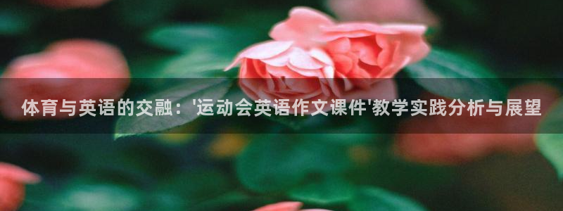 七星体育直播现场直播频道
