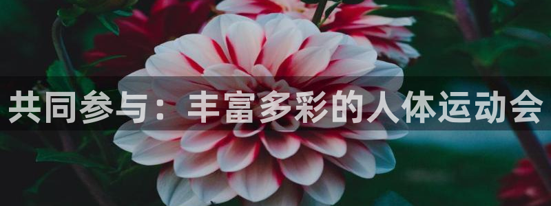 七星体育咩咩
